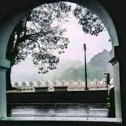 Kandy Lake & City Walk